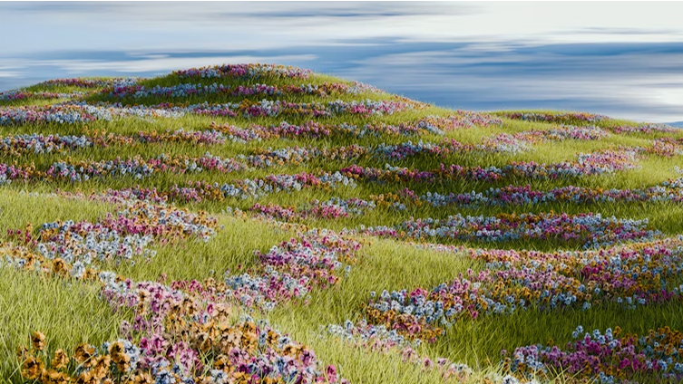 flowers image